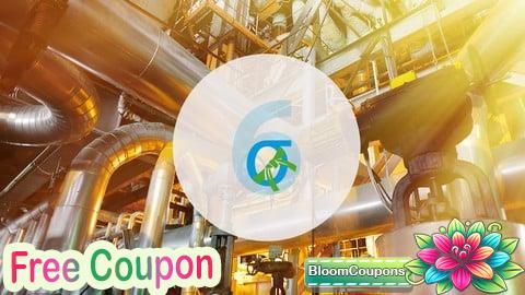 Certifié Ceinture verte en Lean Six Sigma