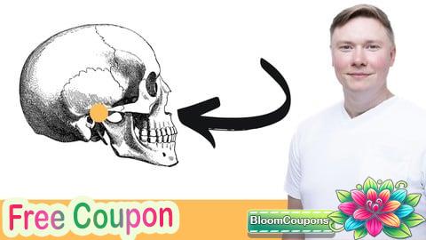 Das Kiefergelenk verstehen - Werde dein Kiefercoach