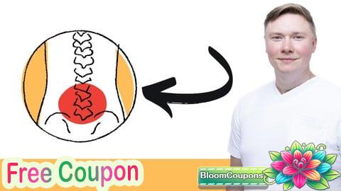 Die Bandscheibe verstehen - Werde dein Bandscheibencoach