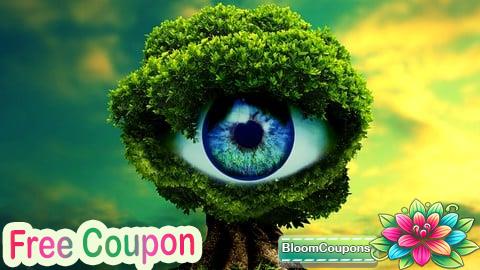 Healthy Eyes (Eye Yoga: The must for all of us)