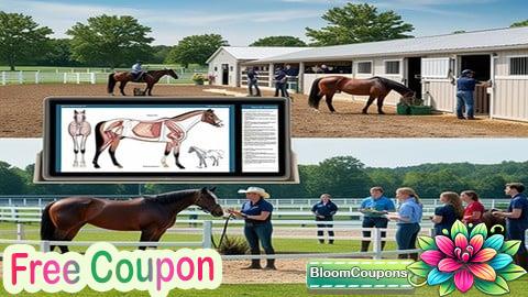 Horse care and Management