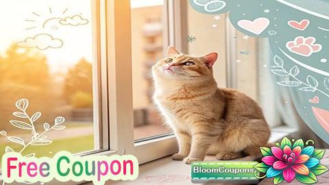 Mastering Cat Care: Be Your Cat’s Best Friend