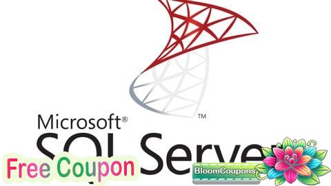 Microsoft SQL Server Nivel Inicial