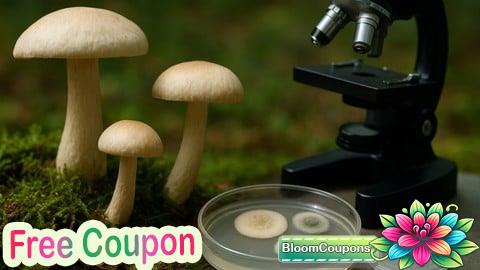 Mycology: The Biology, Ecology, and Applications of Fungi