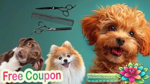 Pet Business with Dog Grooming  for Aspiring Petpreneurs