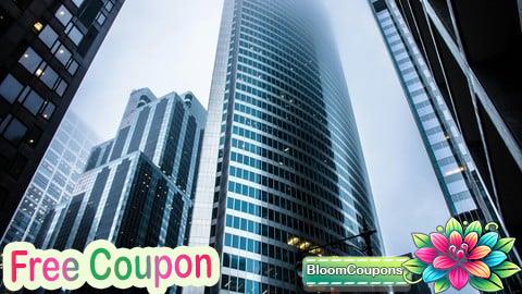 Profesyonel Kariyer Planlama: Beyaz Yakalı Yol Haritası