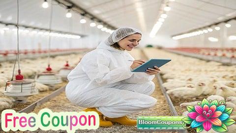 Profitable Broiler Farming: Step-by-Step Guide