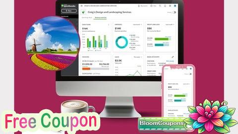 QuickBooks Online Beginner's Guide 2025 Training