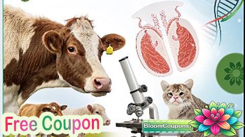 100% Free Coupon Animal Reproduction: Anatomy, Physiology, and Biotechnology