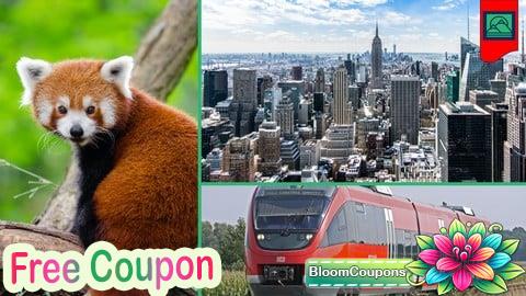 100% Free Coupon Beyond Profit: ESG for a Sustainable Future