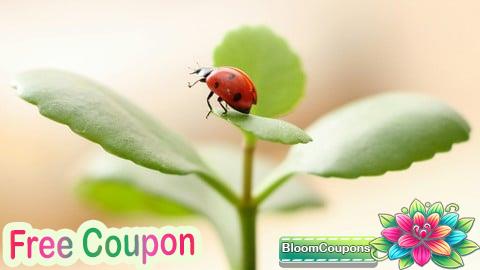 100% Free Coupon Bootstrapping, Business Without Money, Investments Getting