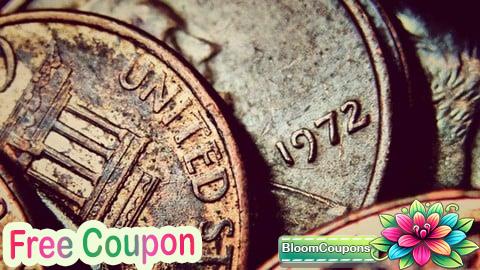 100% Free Coupon Business Economics - Learn to Evaluate Business & Projects