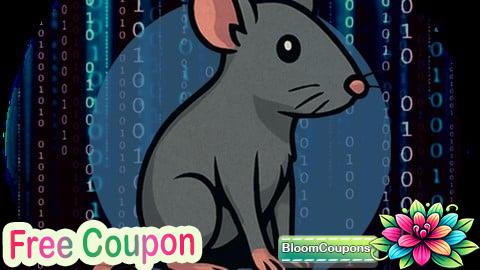 100% Free Coupon CAPIE - Certified API Hacking Expert Course Content