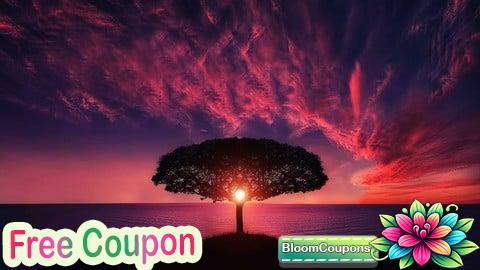100% Free Coupon Complete Photography Masterclass: 4 Courses IN 1