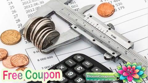 100% Free Coupon Controlling - Einstieg ins Kostenmanagement