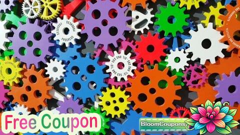 100% Free Coupon Executive Diploma of Vice President Chief Innovation Officer