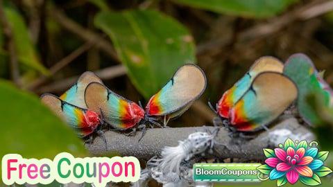 100% Free Coupon How to Transform Your Life - practical ways