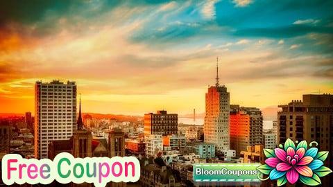 100% Free Coupon Introduction to Financial Controls