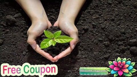 100% Free Coupon ISO 14001 Implementation Step by Step With Templates