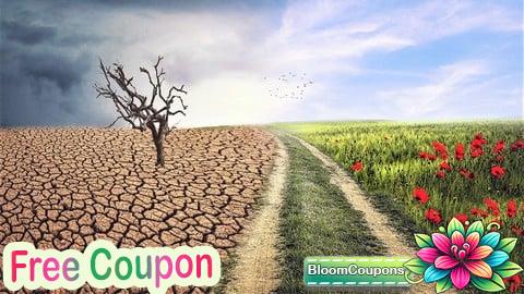 100% Free Coupon Leadership Through Tough Times