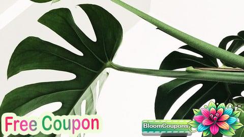 100% Free Coupon Learn Classroom Leadership That Works