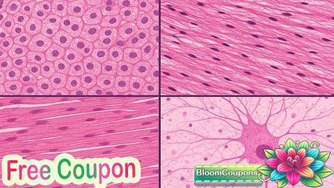 100% Free Coupon Mastering Histology: Microscopic Anatomy Made easy