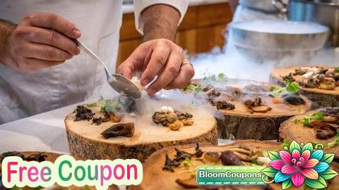 100% Free Coupon Mastering Launching a Successful Restaurant Business Plan