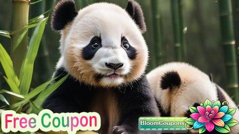 100% Free Coupon Mastering Python, Pandas, Numpy for Absolute Beginners