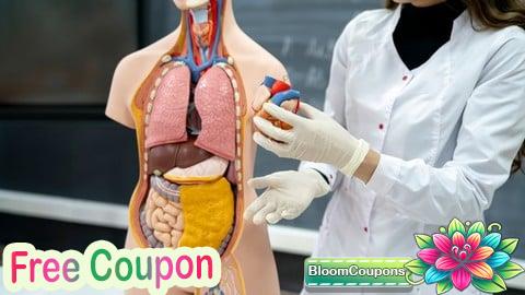 100% Free Coupon Medical Coding Part 2: CPT Coding & Medical Billing Basics