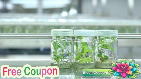 100% Free Coupon Plant Cell & Tissue Culture Course