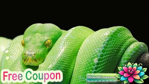 100% Free Coupon Python Development Essentials