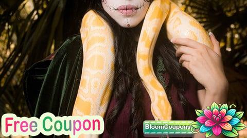 100% Free Coupon Python Development Professional Certification