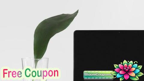 100% Free Coupon Simplified Approach to DBMS: The Complete Package